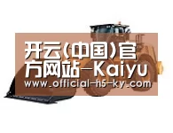 开云官网第三系列